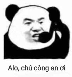 Ảnh Meme Gấu Trúc Weibo Trung Quốc Bựa Troll Hài Hước mới nhất 2023  TT  GDTX Quận 11