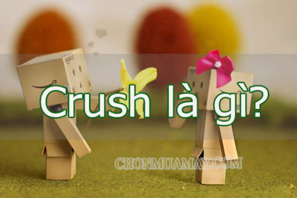 Crush là gì?