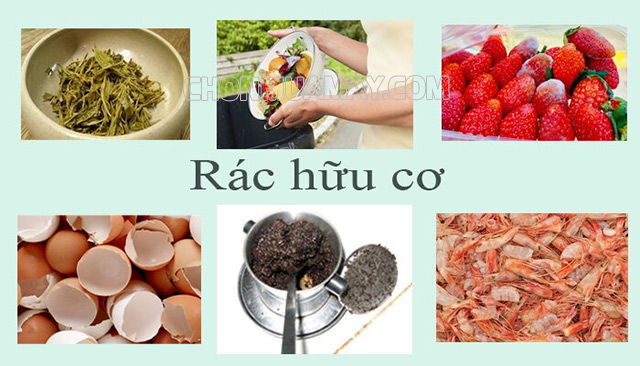 Phân loại rác hữu cơ là gì