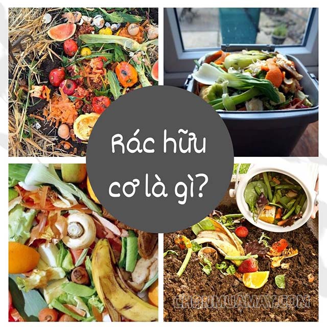 Rác hữu cơ là gì